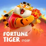Imagem do grupo HORARIOS DO FORTUNE TIGER