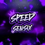 Imagem do grupo SPEED SENSIX