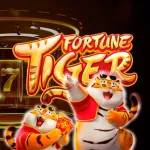 Imagem do grupo Dicas fortune