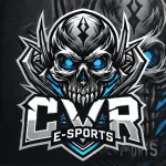 Imagem do grupo Recrutamento CVR E-SPORTS
