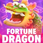 Icone METODO FORTUNE DRAGON