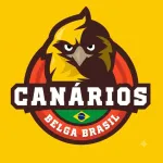 Icone Canarios Belga Brasil