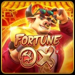 Imagem do grupo HORARIOS DO FORTUNE OX