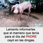 Imagem do grupo Jodedera sin limite