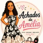 Imagem do grupo Achados da Amelia