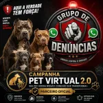 Foto do grupo Grupo De Denuncias