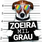 Icone FIGURINHAS E ZOEIRA