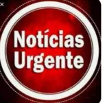 Icone NEGOCIOS & NOTICIAS DO PARA