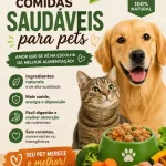 Foto do grupo Bem estar do pet