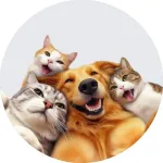Foto do grupo Pet Guia Brasil