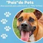 Icone ANIMAIS JUNTOS