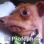 Icone Grupo de receitas saudaveis para seu pet