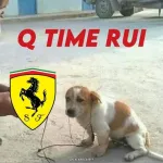 Foto do grupo JUJUTSU KAISER2.0