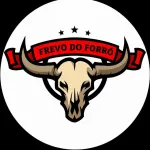 Imagem do grupo frevo do forro