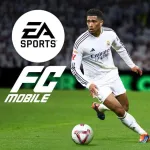 Imagem do grupo LIGA FC MOBALI
