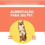 Imagem do grupo Receitas saudaveis para pets
