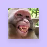 Icone Animais e seus cuidados