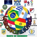 Imagem do grupo Unidos por el futbol 2.0 (Dale que Dale)