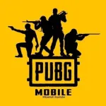 Imagem do grupo PUBG MOBILE
