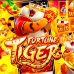 Icone TALIBA SLOTS