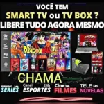 Imagem do grupo Loucos Por iptv P2P E Netflix