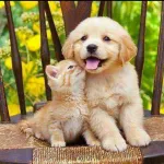 Imagem do grupo PETS SAUDAVEIS