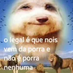 Imagem do grupo Caps Brasil