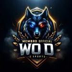 Imagem do grupo RECRUTAMENTO WOD SPORTS PR