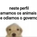 Foto do grupo Baroes da piadinha
