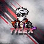 Imagem do grupo TILEX