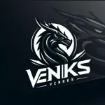 Icone VK VENKS