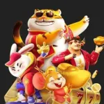 Imagem do grupo Grupo Bonner | Plataformas pagantes