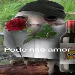 Imagem do grupo PODE NAO MAN
