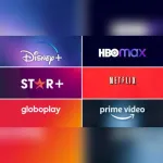 Icone Netflix Premium