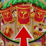 Imagem do grupo 100% de ganho