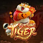 Imagem do grupo Slot da dondoca